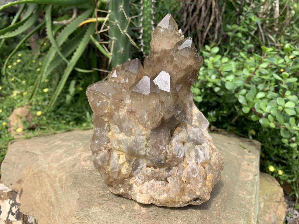 Natural Smokey Citrine Cascading Phantom Crystal Cluster x 1 From Luena, Congo