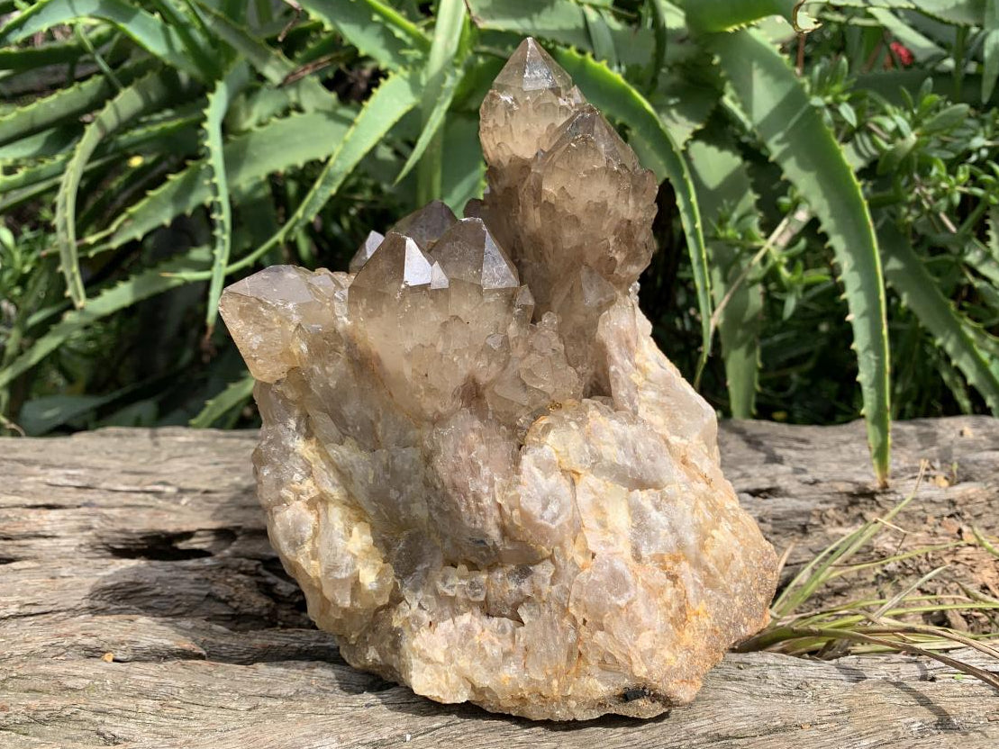 Natural Smokey Citrine Cascading Phantom Crystal Cluster x 1 From Luena, Congo