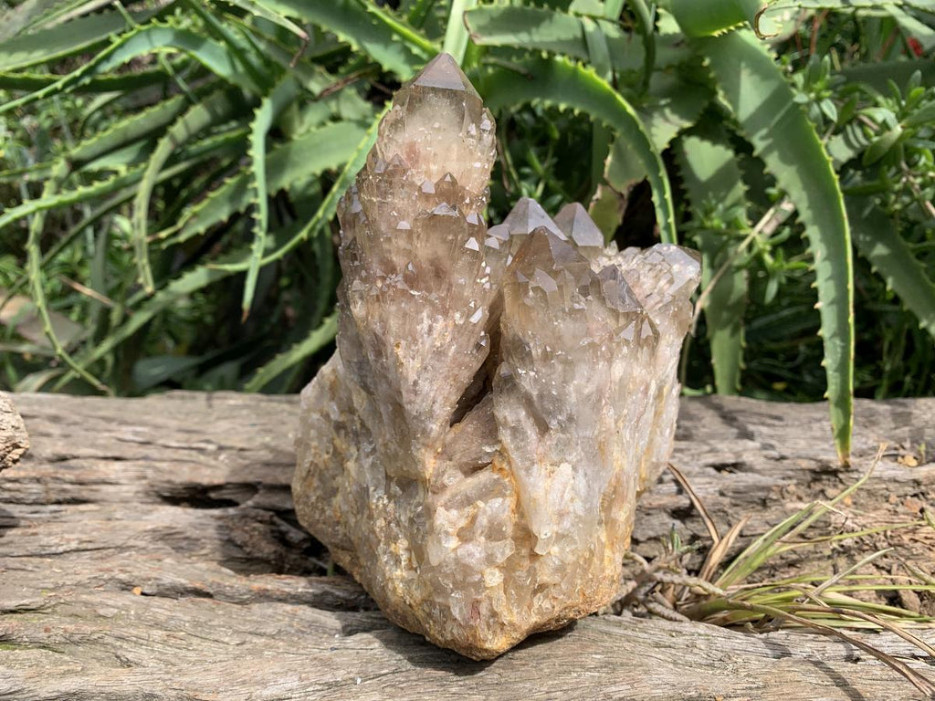 Natural Smokey Citrine Cascading Phantom Crystal Cluster x 1 From Luena, Congo