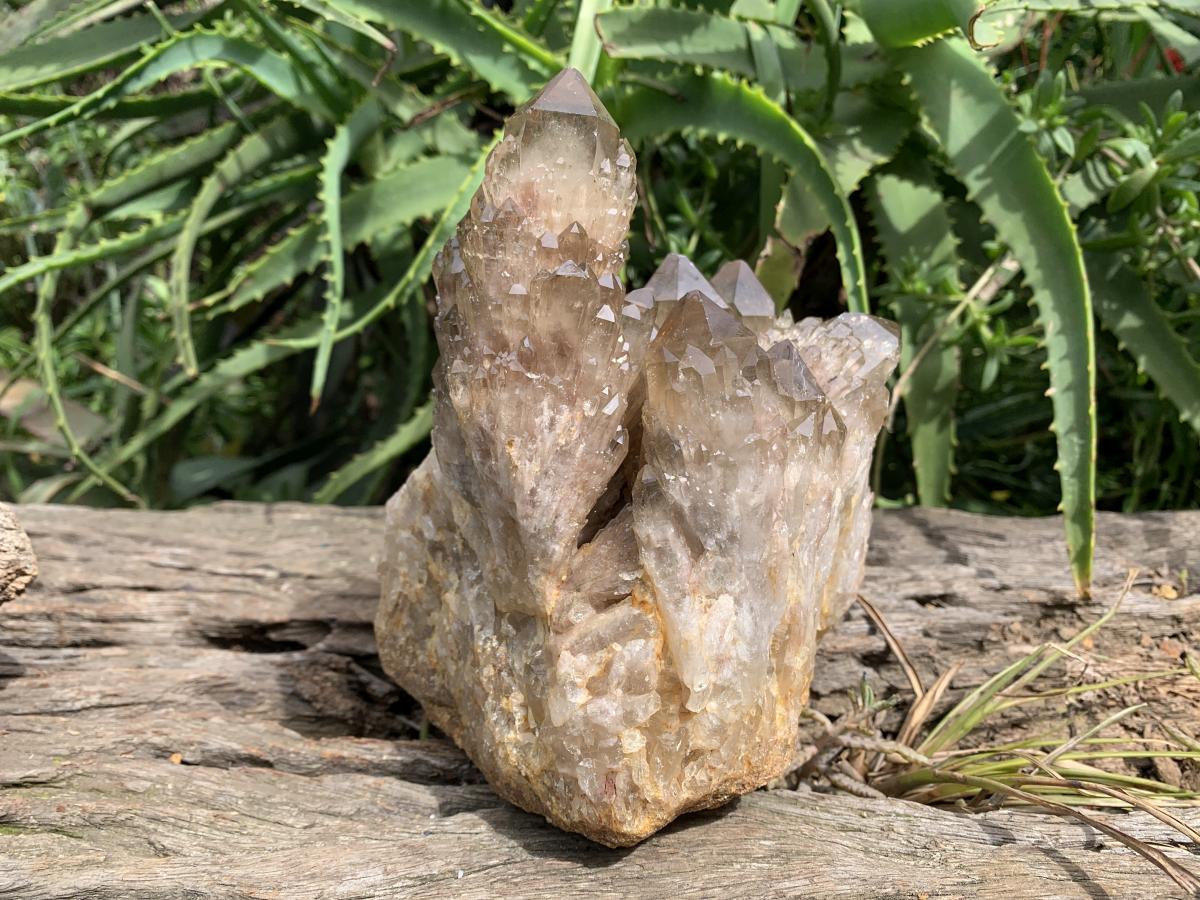 Natural Smokey Citrine Cascading Phantom Crystal Cluster x 1 From Luena, Congo