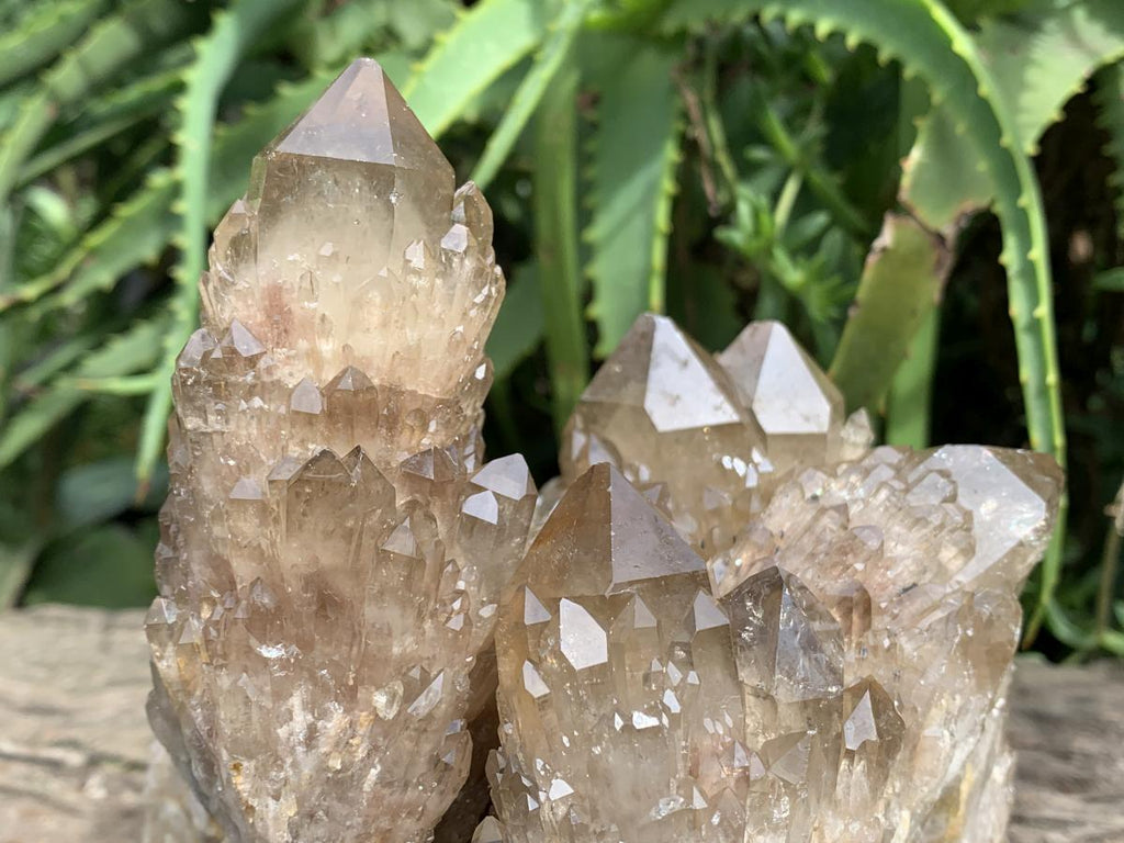 Natural Smokey Citrine Cascading Phantom Crystal Cluster x 1 From Luena, Congo