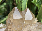 Natural Smokey Citrine Cascading Phantom Crystal Cluster x 1 From Luena, Congo