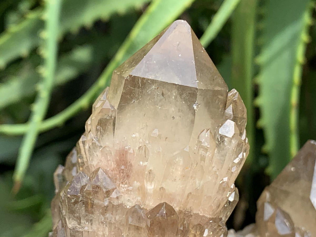 Natural Smokey Citrine Cascading Phantom Crystal Cluster x 1 From Luena, Congo