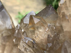 Natural Smokey Citrine Cascading Phantom Crystal Cluster x 1 From Luena, Congo
