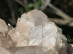 Natural White Phantom Cascading Smokey Quartz Crystal Cluster x 1 From Luena, Congo