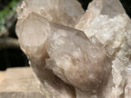 Natural White Phantom Cascading Smokey Quartz Crystal Cluster x 1 From Luena, Congo