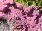 Natural Large Pink Cobaltion Dolomite Salrose Specimen x 1 From Kakanda, Congo