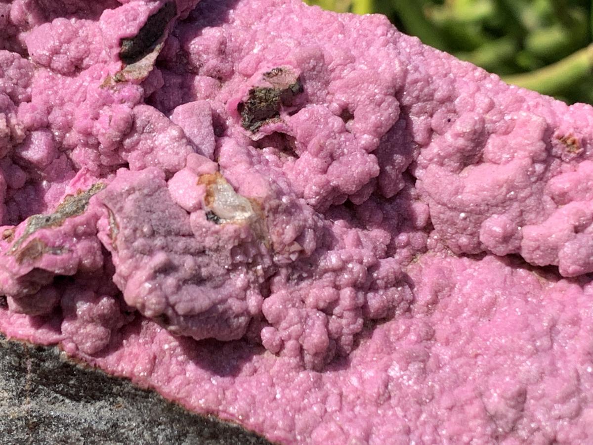 Natural Large Pink Cobaltion Dolomite Salrose Specimen x 1 From Kakanda, Congo