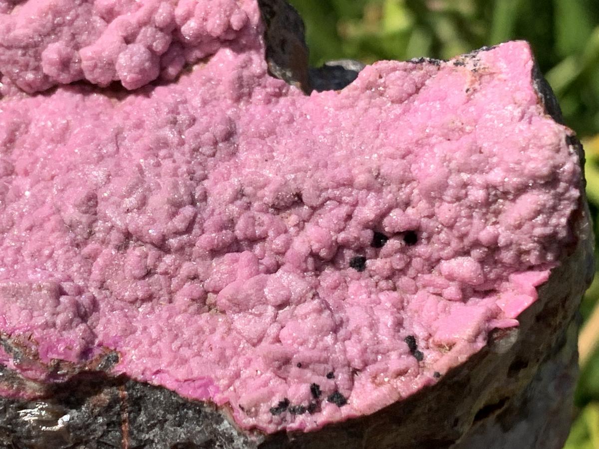 Natural Large Pink Cobaltion Dolomite Salrose Specimen x 1 From Kakanda, Congo