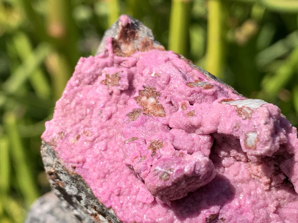 Natural Large Pink Cobaltion Dolomite Salrose Specimen x 1 From Kakanda, Congo