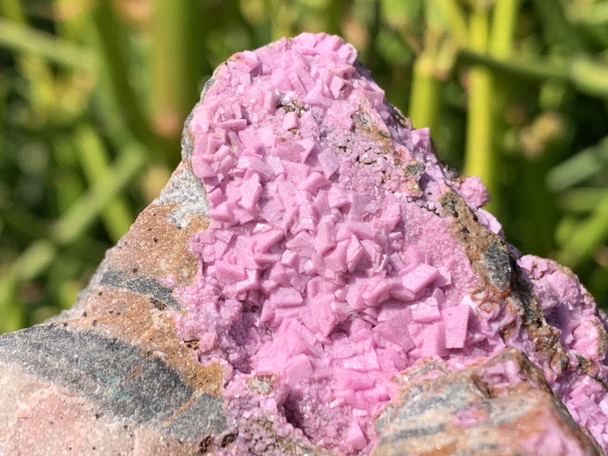 Natural Large Pink Cobaltion Dolomite Salrose Specimen x 1 From Kakanda, Congo