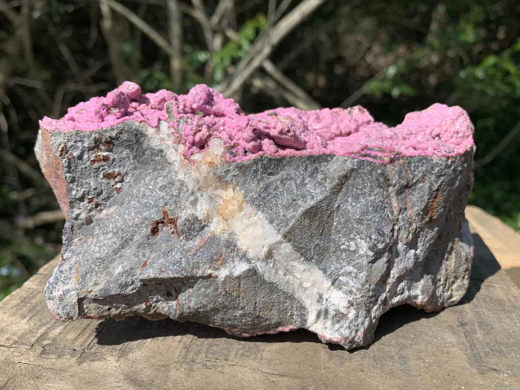 Natural Large Pink Cobaltion Dolomite Salrose Specimen x 1 From Kakanda, Congo