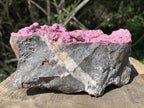 Natural Large Pink Cobaltion Dolomite Salrose Specimen x 1 From Kakanda, Congo