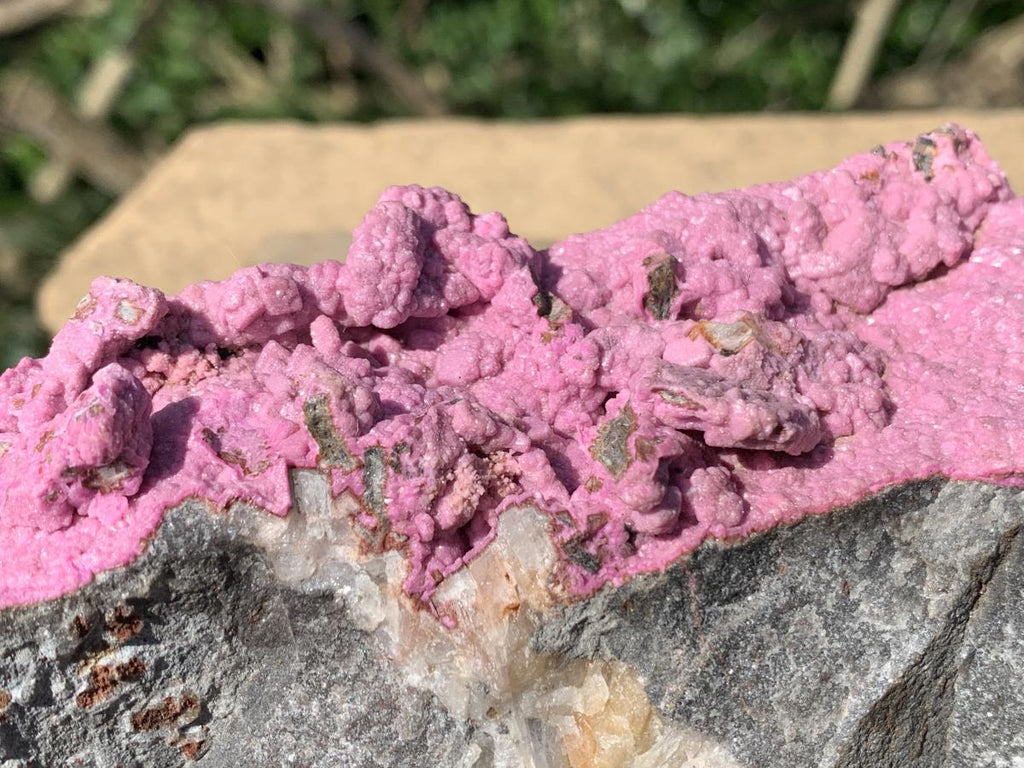 Natural Large Pink Cobaltion Dolomite Salrose Specimen x 1 From Kakanda, Congo