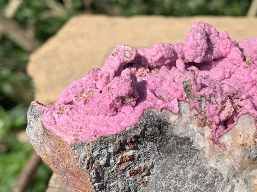Natural Large Pink Cobaltion Dolomite Salrose Specimen x 1 From Kakanda, Congo
