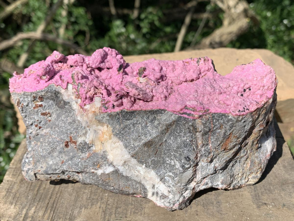 Natural Large Pink Cobaltion Dolomite Salrose Specimen x 1 From Kakanda, Congo