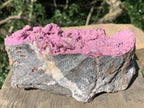 Natural Large Pink Cobaltion Dolomite Salrose Specimen x 1 From Kakanda, Congo