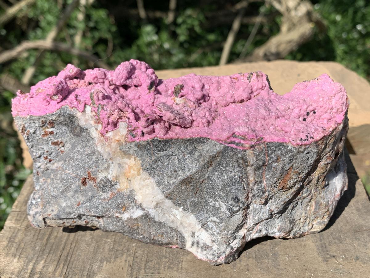 Natural Large Pink Cobaltion Dolomite Salrose Specimen x 1 From Kakanda, Congo