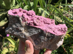 Natural Large Pink Cobaltion Dolomite Salrose Specimen x 1 From Kakanda, Congo