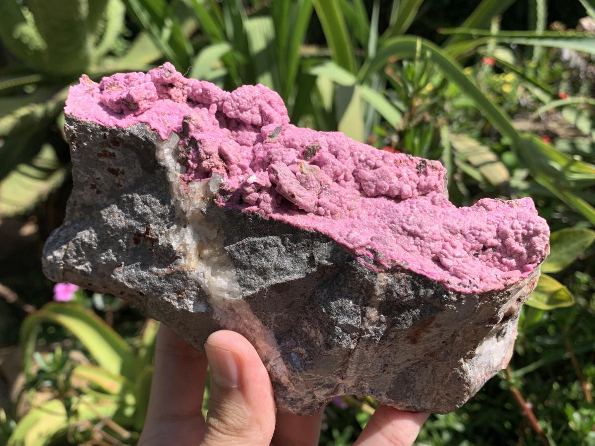 Natural Large Pink Cobaltion Dolomite Salrose Specimen x 1 From Kakanda, Congo