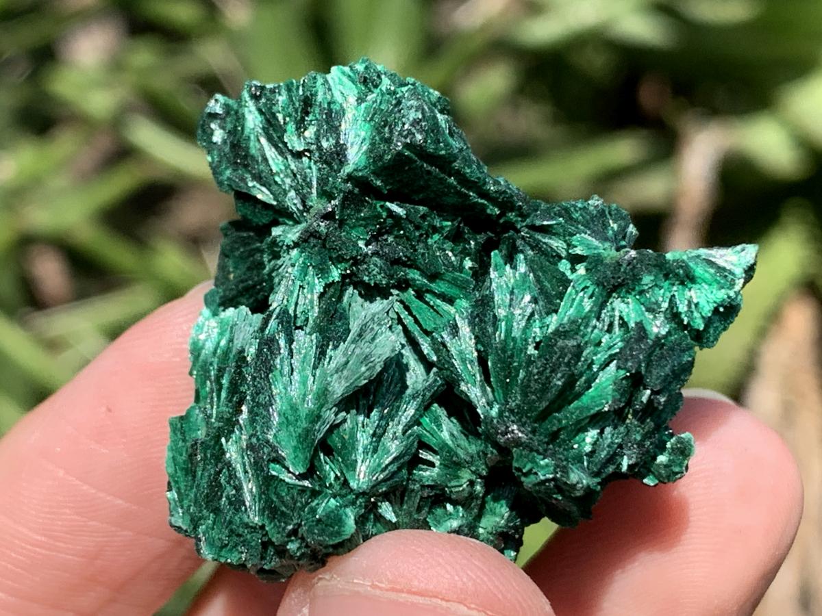 Natural 10 Piece Set of Mixed Gemstones, Minerals and Crystals From Southern Africa (Sold Per Set)