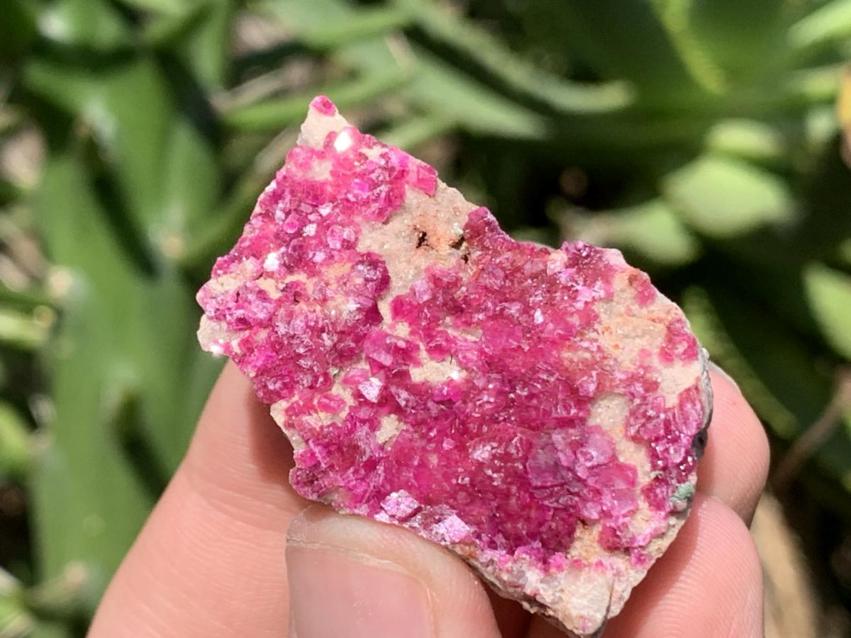 Natural 10 Piece Set of Mixed Gemstones, Minerals and Crystals From Southern Africa (Sold Per Set)