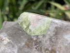 Polished Watermelon Tourmaline in Quartz Standing Display Piece x 1 From Mozambique