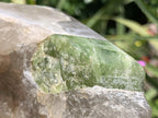Polished Watermelon Tourmaline in Quartz Standing Display Piece x 1 From Mozambique