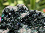 Natural Super Rare Libethenite Specimen x 1 From Shituru Mine, Congo