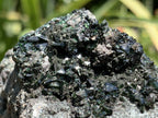 Natural Super Rare Libethenite Specimen x 1 From Shituru Mine, Congo