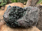 Natural Super Rare Libethenite Specimen x 1 From Shituru Mine, Congo