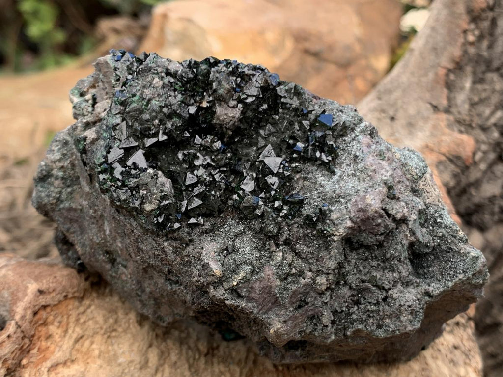 Natural Super Rare Libethenite Specimen x 1 From Shituru Mine, Congo