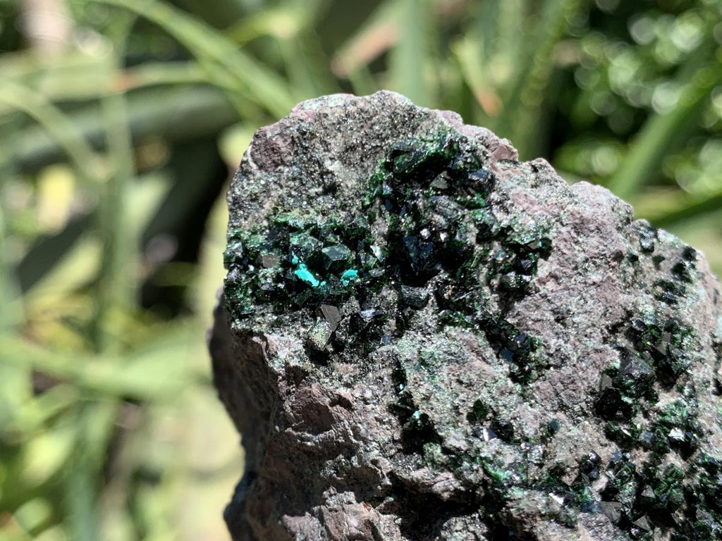 Natural Super Rare Libethenite Specimen x 1 From Shituru Mine, Congo