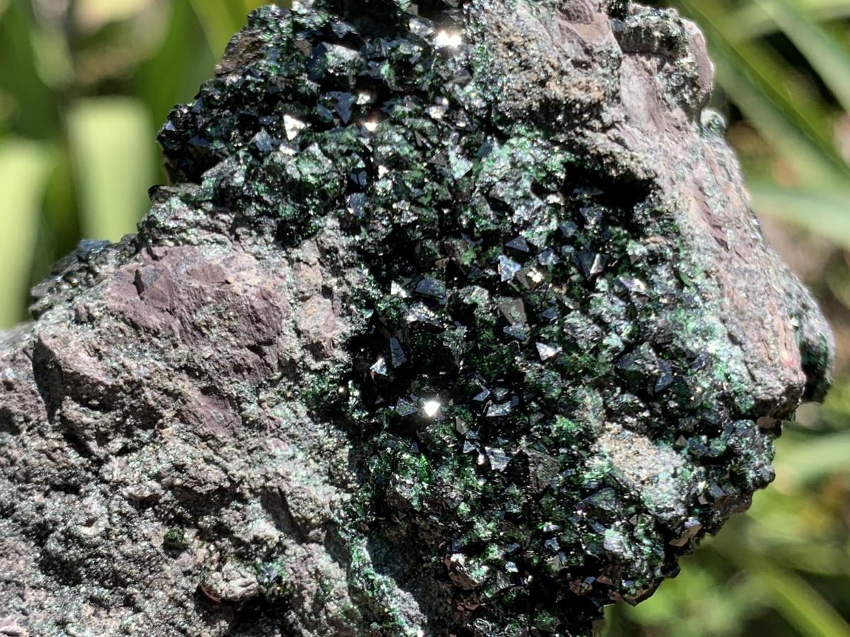 Natural Super Rare Libethenite Specimen x 1 From Shituru Mine, Congo