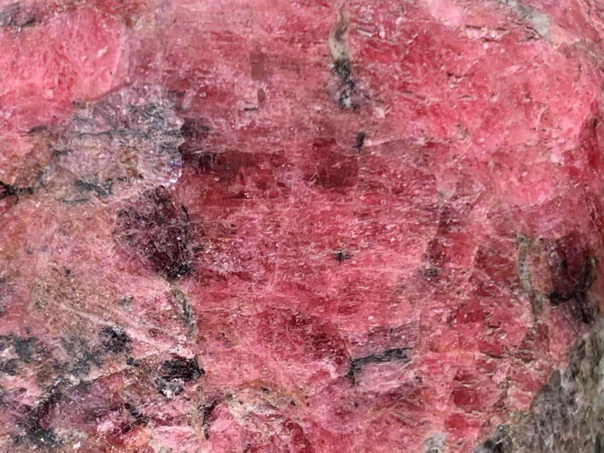 Polished Rare Red Rhodonite Standing Free Form x 1 From Zimbabwe