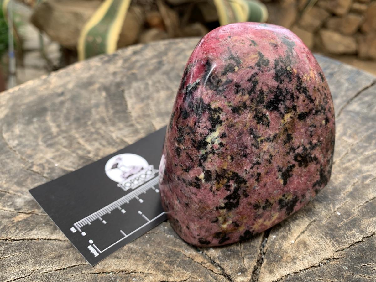 Polished Rare Red Rhodonite Standing Free Form x 1 From Zimbabwe