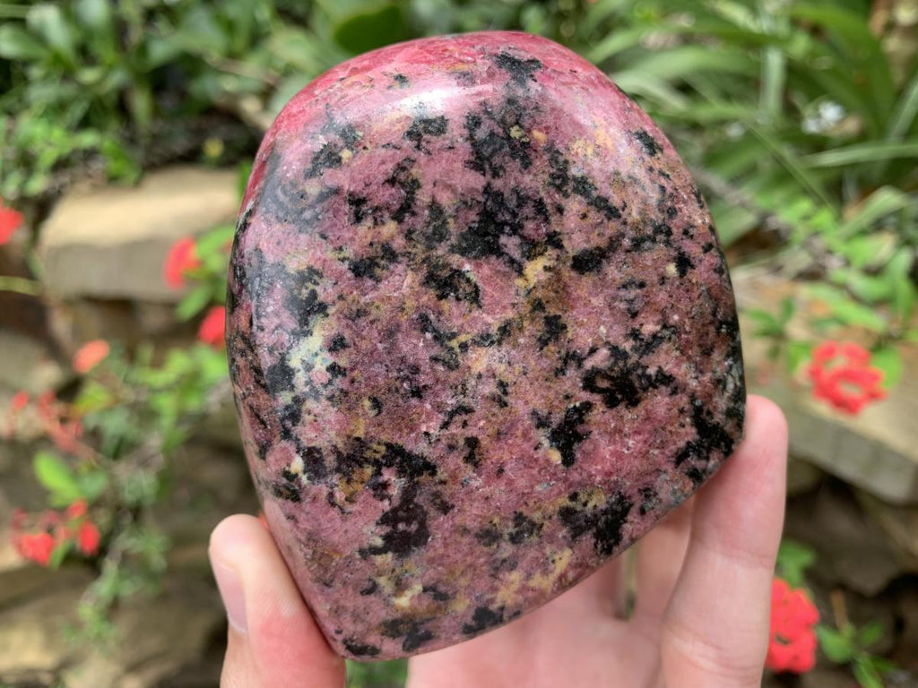 Polished Rare Red Rhodonite Standing Free Form x 1 From Zimbabwe