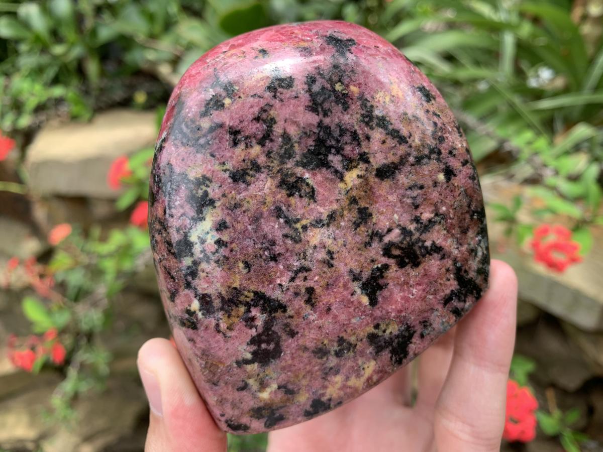 Polished Rare Red Rhodonite Standing Free Form x 1 From Zimbabwe