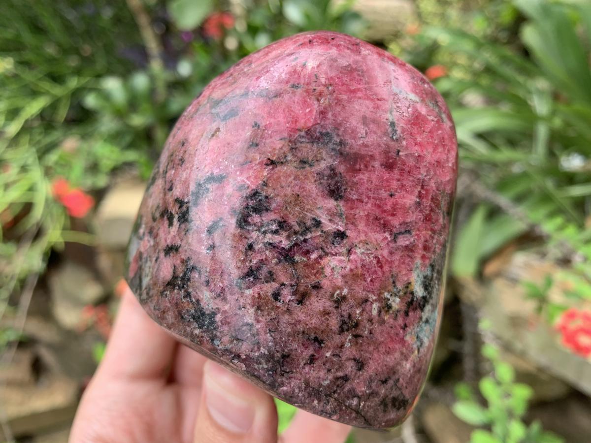 Polished Rare Red Rhodonite Standing Free Form x 1 From Zimbabwe