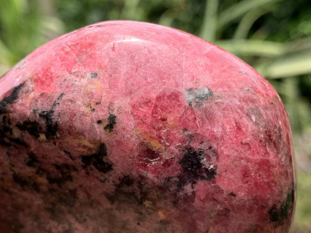 Polished Rare Red Rhodonite Standing Free Form x 1 From Zimbabwe