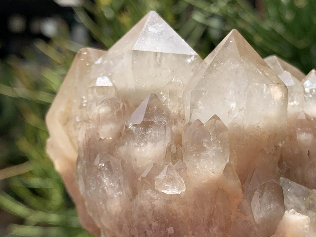 Natural White Phantom Cascading Smokey Quartz Crystal Cluster x 1 From Luena, Congo