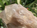 Natural White Phantom Cascading Smokey Quartz Crystal Cluster x 1 From Luena, Congo
