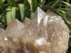 Natural White Phantom Cascading Smokey Quartz Crystal Cluster x 1 From Luena, Congo