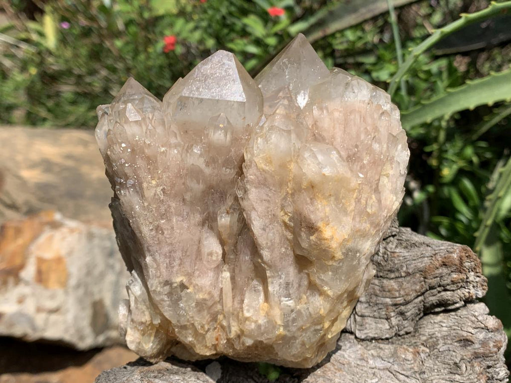 Natural White Phantom Cascading Smokey Quartz Crystal Cluster x 1 From Luena, Congo
