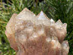Natural White Phantom Cascading Smokey Quartz Crystal Cluster x 1 From Luena, Congo