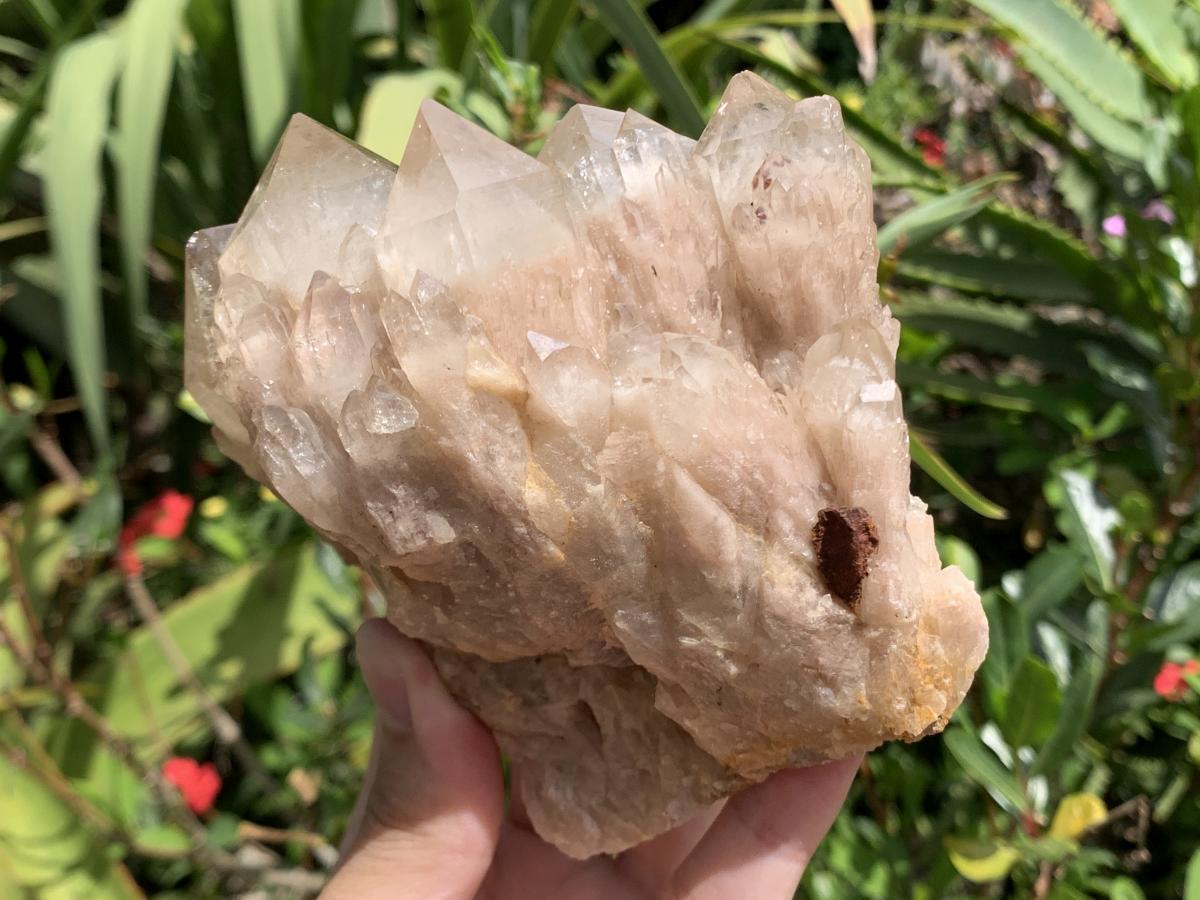 Natural White Phantom Cascading Smokey Quartz Crystal Cluster x 1 From Luena, Congo