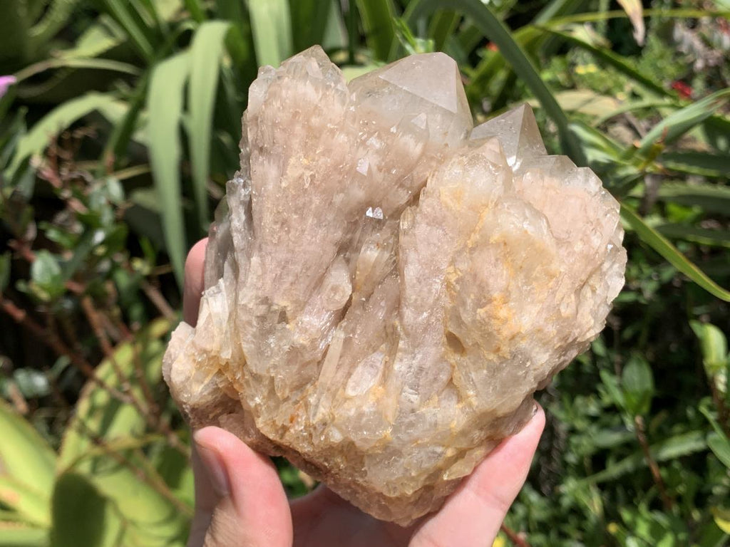 Natural White Phantom Cascading Smokey Quartz Crystal Cluster x 1 From Luena, Congo