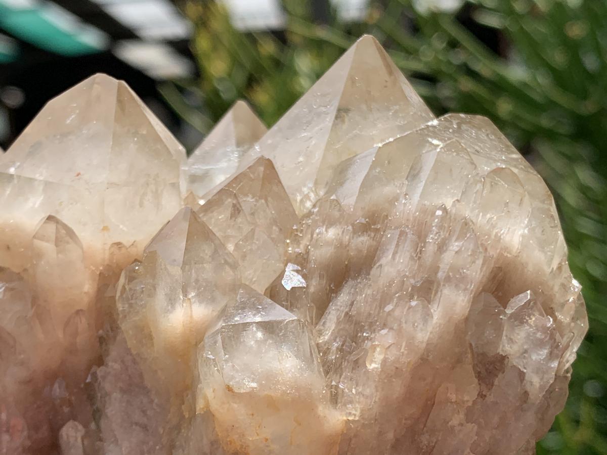 Natural White Phantom Cascading Smokey Quartz Crystal Cluster x 1 From Luena, Congo