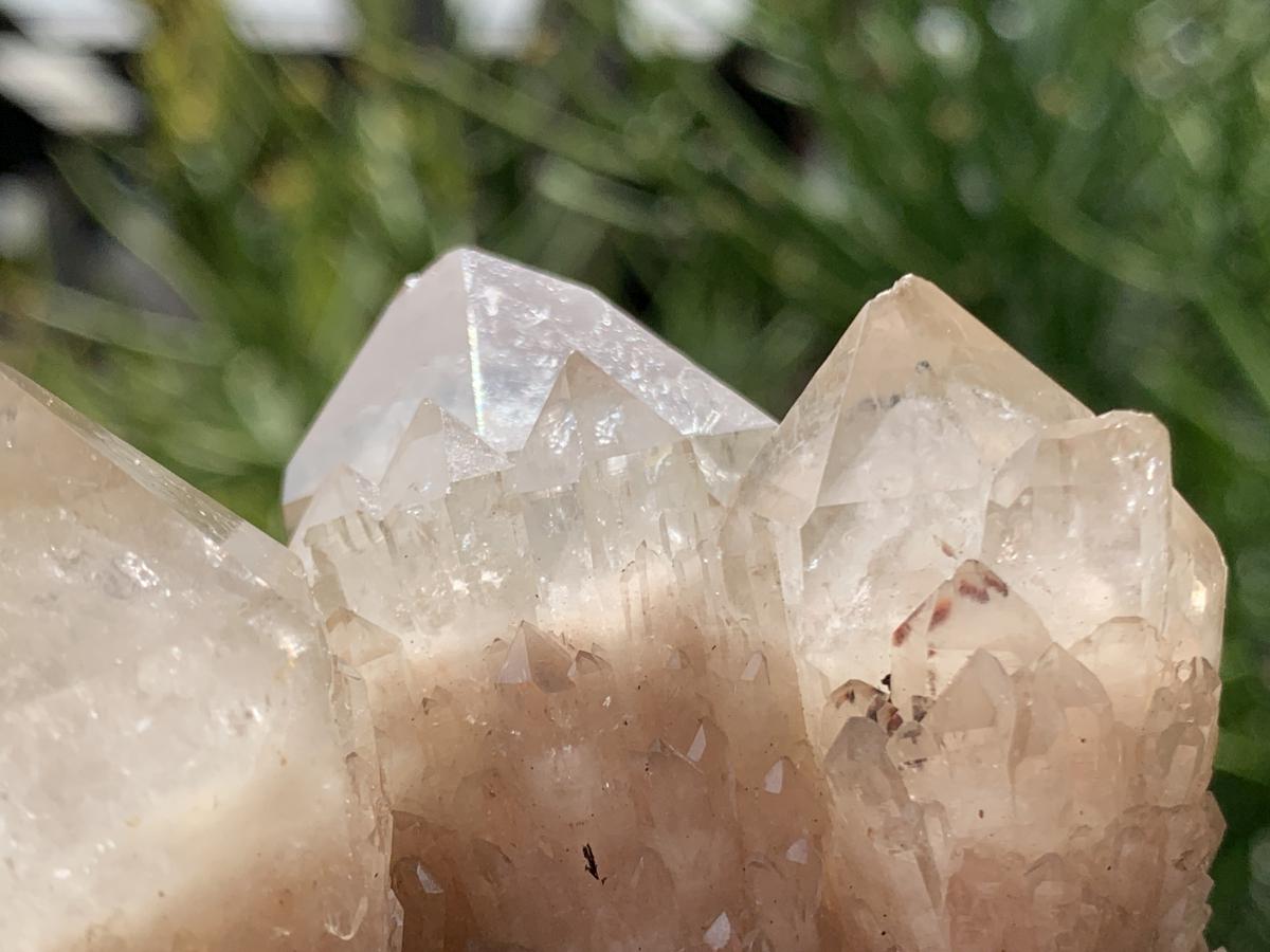 Natural White Phantom Cascading Smokey Quartz Crystal Cluster x 1 From Luena, Congo
