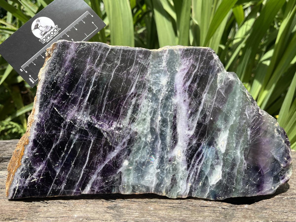 Polished Large Watermelon Fluorite Slice x 1 From Uis, Namibia
